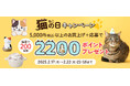 2/22は猫の日♪5,000円以上のお買上げで、抽選で200名様に2200ポイントプレゼントキャンペーンを実施!