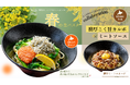 【 麦と卵】旬の食材を贅沢に味わう春の生パスタ!菜の花×明太子×シラスの香り豊かな一皿&人気メニューがドッキング!濃厚ミート×カルボの最強コラボレーションパスタの期間限定メニュー2品が登場!