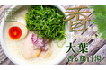 【鶏白湯ラーメン 白鶏舎（ハッケイシャ）】濃厚×爽快の衝撃。初夏を彩る期間限定メニュー「大葉香る鶏白湯」が5月7日より新登場！