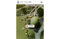 おいしいオリーブオイルをいま求めている人へ〜「eオリーブオイル選び」サイトで 最新「OLIVE JAPAN® 2026 国際オリーブコンテスト」受賞商品600本以上を画像付きで一挙公開