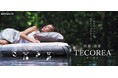 【9月3日は「睡眠の日」】空気循環マットレスTECOREA(テコリア)新サービススタート!ご自宅で30日間お試しいただけます!