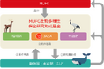 【MUFG】国内の動物園・水族館対象の「MUFG生物多様性保全研究助成基金」を創設