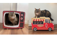 遊び心たっぷりなボックス型爪とぎが新登場!「猫の爪とぎ レトロテレビ」「猫の爪とぎ アイスクリームワゴン」