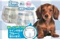 愛犬とのお出掛け、介護やおもらし対策に、「Pet ami」のペット用の紙おむつがリニューアル