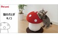 コメリの爪とぎの新作!キノコに乗ったり飛びついたり!愛猫のかわいい姿が見られる爪とぎ「Pet ami猫の爪とぎ キノコ」