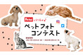 自慢のわんちゃん・ねこちゃんのベストショットを写真に撮ろう！「Pet amiといっしょ♪ペットフォトコンテスト」の開催が決定　グランプリにはコメリギフトカード3万円分をプレゼント！