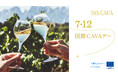 7月12日「国際CAVAデー」にあわせ、CAVAの知識とポテンシャルを伝える業界向けイベントを東京で実施