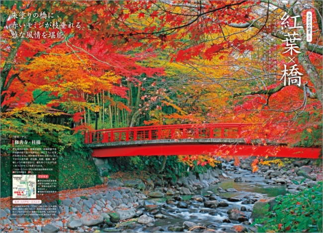 「紅葉×橋」ページ例