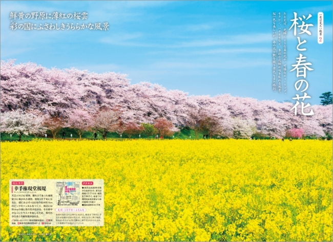 「桜と春の花」ページ例