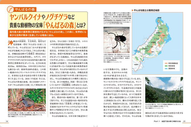 ＜「沖縄のトリセツ」地形編代表誌面2＞