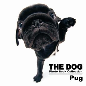 THE DOGの新シリーズ『THE DOG Photo Book Collection』発売！モデル犬 