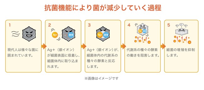 抗菌について解説