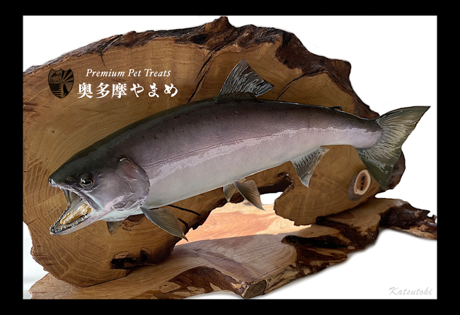 愛犬 愛猫の健康と笑顔を求めて 東京都の特産品 奥多摩やまめ を原材料にした日本初のスーパートリーツ ペットのおやつ をbestie Llcがリリース 合同会社bestieのプレスリリース