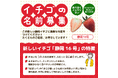 【イチゴの名前募集】　新品種「静岡16号」　採用者景品あり