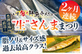 【決定!】今年は“質”で大当たり年!2ヶ月連続「大ぶり“生”さんま」祭り開催