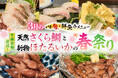 2026年3月限定“いま旬！”天然さくら鯛と新物ほたるいかの春祭り