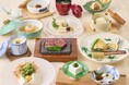 梅の花グループが創業50周年！感謝の気持ちを込めた特別企画を「湯葉と豆腐の店 梅の花」で6月1日より開催！会員限定 記念クーポンを配信。