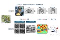 ニチレイフーズスマートファクトリー推進の一環として透明プラスチック片を高精度に検知するAI技術を活用した検査装置を導入
