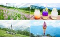 白馬五竜の夏休み！山頂でペルセウス座流星群を眺める「ナイトゴンドラ」や、テントで深夜の山頂に滞在できる宿泊イベントの開催が決定