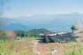 白馬五竜、6月20日からグリーンシーズン営業開始。高山植物園では鮮やかに咲き誇る花々が見頃に