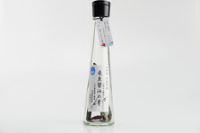 長崎県・新上五島町 ちょい乗りにぴったり「電動キックボード Ridee 