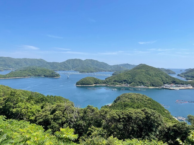 島の大部分は西海国立公園に指定されており、中でも海岸の断崖の眺望と西海岸に広がる若松瀬戸は絶景であり好漁場。 島の大部分は西海国立公園に指定されており、中でも海岸の断崖の眺望と西海岸に広がる若松瀬戸は絶景であり好漁場。