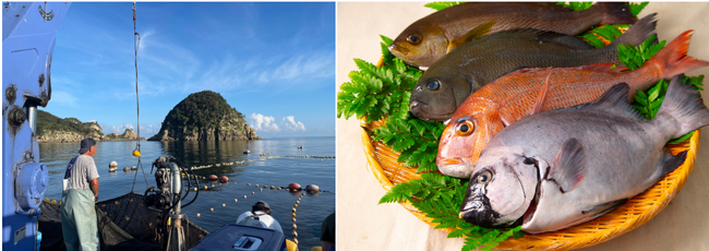 上五島の美味しいお魚をぜひお召し上がりください。 上五島の美味しいお魚をぜひお召し上がりください。