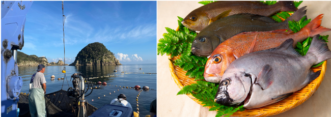 上五島の美味しいお魚をぜひお召し上がりください。