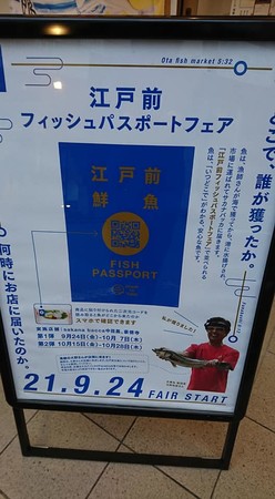 東京湾フィッシュパスポートフェア