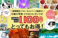 高品質画像を“誰でも1,100円”で使える、アフロの新キャンペーンが4月から開始