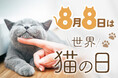 【8月8日限定!先着200名】“世界猫の日”を記念して猫用品全品15%OFFキャンペーンを開催いたします。人気のフードボウルや爪とぎ、お出かけグッズなどの買い替えやご褒美選びに、ご活用ください。