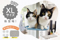 【新発売】大人気「猫用ハンモック」に待望のXLサイズが新登場!吸盤や替えカバー単品販売も予約開始。より長く快適にご利用いただけます。9/10限定・楽天スーパーセール【全品10%OFF】クーポン配布中!