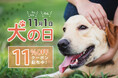 "犬の日記念キャンペーン"11月1日限定!犬用品全品に使える【11%OFFクーポン】を期間限定で配布中!PetFun(ペットファン)が愛犬家に贈る特別企画。感謝を込めて、ワンちゃんとの毎日を快適に。