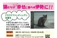 不幸な命をこれ以上増やさないために―伊勢市のＴＮＲ活動、猫の不妊去勢手術推進事業への寄附をお願いします