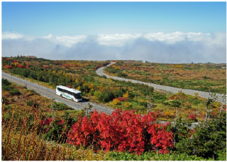 アルペンルート紅葉（富山県）