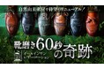 革靴磨きが60秒で完了する「ミラーポリッシュナチュラルスパイス」前作Makuake534万円達成の新商品リリース
