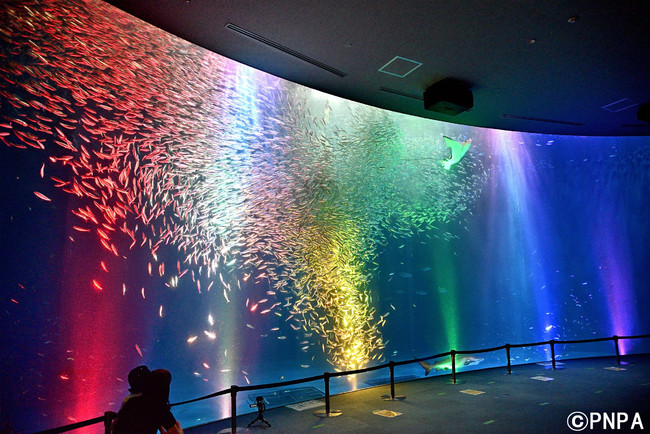 名古屋港水族館 - 遊園地