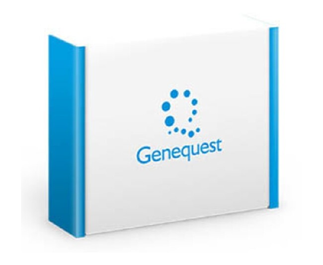 350項目以上の健康リスク・体質の遺伝的傾向や、祖先のルーツがわかる遺伝子解析サービス「ジーンクエスト ALL」。肥満の傾向やアルコール分解能力など、気になる体質もくわしくチェックできる。