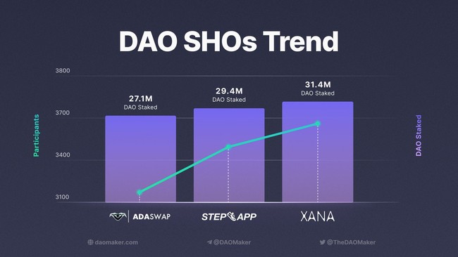 （DAOMakerプラットフォームにおける直近資金調達時の参加投資家資産数の推移）