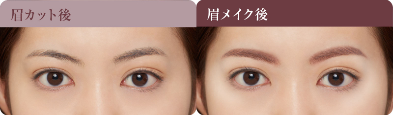 ドレイクのニューアルバム『ビューズ』がApple限定で5日間で100万枚を販売