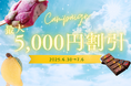 【最大5,000円引きキャンペーン】この夏の売れ筋3選!仕入れするなら今がチャンス!