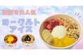 韓国で大バズリ!話題のヨーグルトアイス(요거트아이스)卸販売開始!