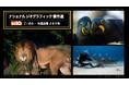 「ナショナル ジオグラフィック傑作選」BS10で7/4(金)~毎週金曜よる9時に無料放送!