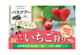 【いーふらん】健康づくりは”運動＋楽しみ”から　女性専用フィットネス「フィットネス&ストレッチ 健康の森」2026年1月 会員限定・新春いちご狩りバスツアーを開催