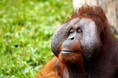 【9/9より】「サーキュラー・エコノミーへの移行推進」の申請サポートを開始しました【助成金なう】
