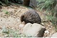 【3/14より】「【長崎県】最大1000万円/製造業賃上げ対応型投資促進補助金」の申請サポートを開始します!【助成金なう】
