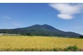 【3/26より】【農林水産省】最大3億円/「産地連携推進緊急対策事業」の申請サポートを開始します!【助成金なう】