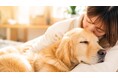 ペットは犬？猫？何匹？みんなの“癒しの存在”を大調査！【1000人アンケート】