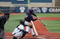 観客動員は過去最高の国民的スポーツ！プロ野球について大調査！！【1000人アンケート】