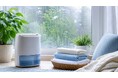 湿気で困ることは？梅雨時期の悩みと対策をアンケート調査【1000人アンケート】